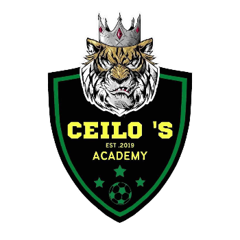 เซโล อะคาเดมี่