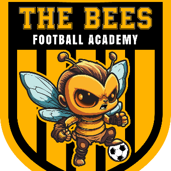 เดอะบีส์ ฟุตบอล อะคาเดมี