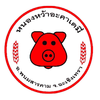 หนองหว้า อะคาเดมี่