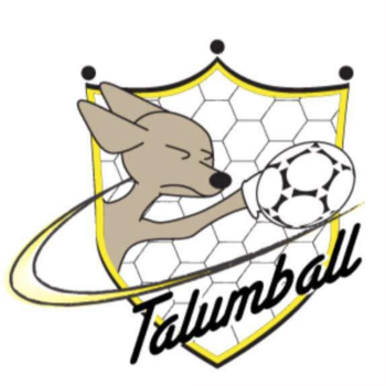 ตะลุมบอล อะคาเดมี่